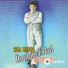 Ibrahim Erkal - Ahlı Vahlı Şarkım