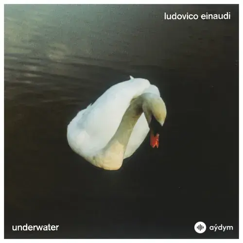 Underwater