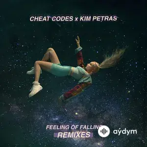 Feeling of Falling (Remixes)