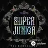 Super Junior  - SUPER