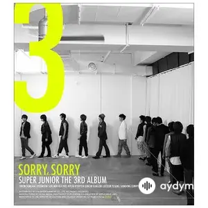 Sorry, Sorry (The 3rd Album)