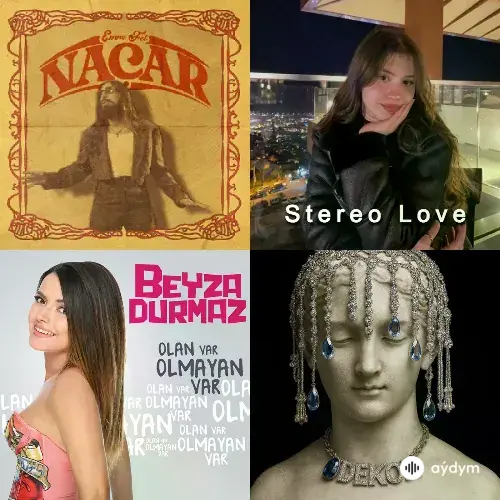 temizlik yaparken dinlenecek şarkılar