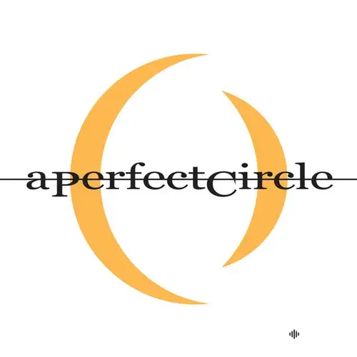 A Perfect Circle