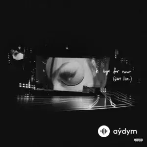 k bye for now (swt live)