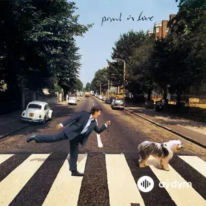 Paul Is Live