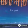 Paul McCartney - Off The Ground