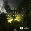 Anikdote -The FifthGuys-Veronica  Bravo-Ponzoo - Seen [Ponzoo Remix]