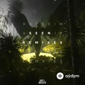 Seen (Remixes)