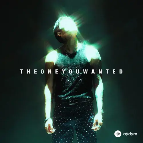 The One You Wanted