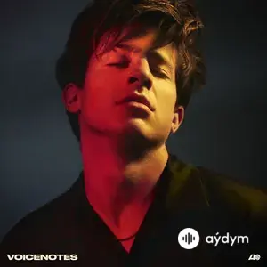 Voicenotes