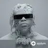 Gunna  - private island