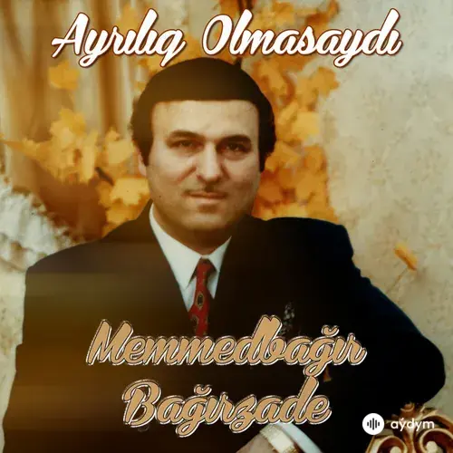 Memmedbagir Bagirzade