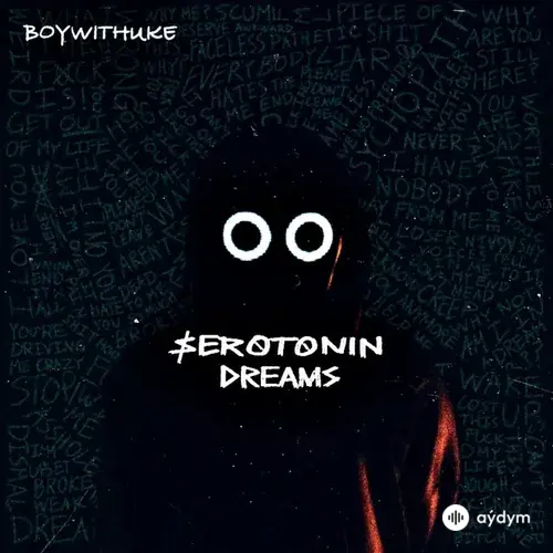 BoyWithUke - She Said No
