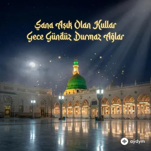 Tarih&Tebliğ - Sana Aşık Olan Kullar Gece Gündüz Durmaz Ağlar