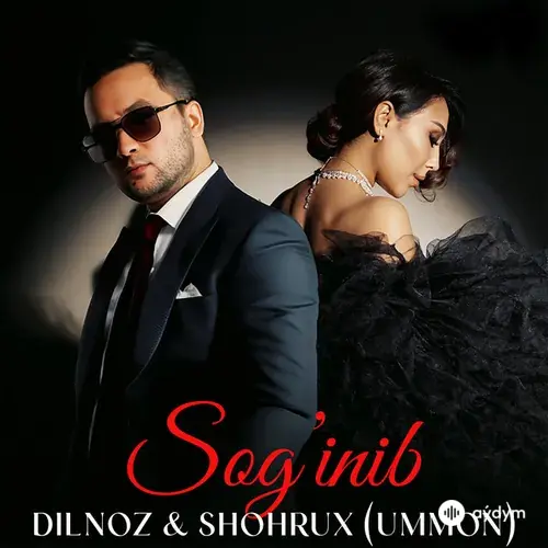 Dilnoz -Shohrux Ummon - Sog'inib