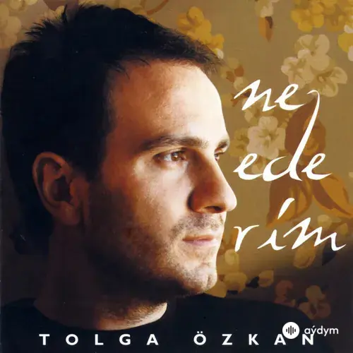 Tolga Özkan - Yangınım