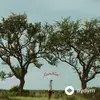 Dylan Gossett - Loving You Like That
