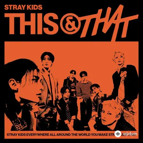Stray Kids  - FARMING