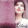 Gülay Sezer - Gel Yeter