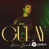 Gülay Sezer - Biliyorsun