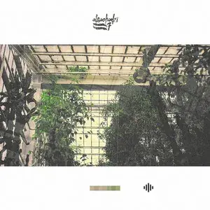 7 album