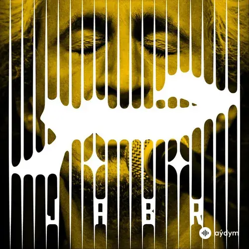Mohsen Namjoo - Shirin