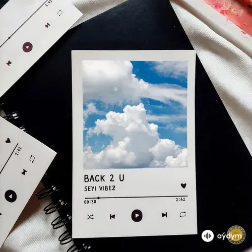 Seyi Vibez - BACK 2 U