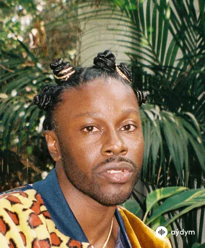 Jesse Boykins III