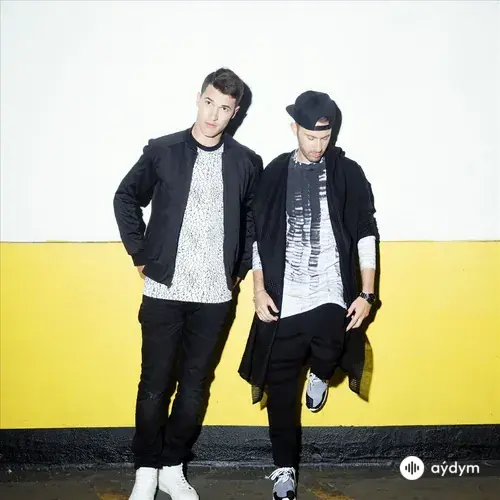 Timeflies