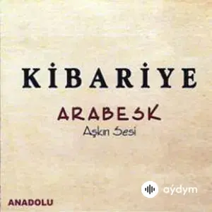 Arabesk (Aşkın Sesi)