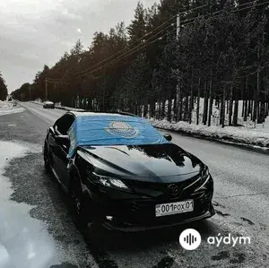 VIP Kazakh Style