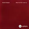 Beach House - Levitation