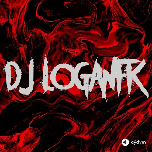 DJ LOGANFK