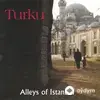 Türkü  Çevik - Uskudara Gideriken