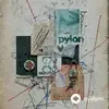 Beabadoobee - Pylon