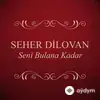 Seher Dilovan - Yollarına Güller Dökem