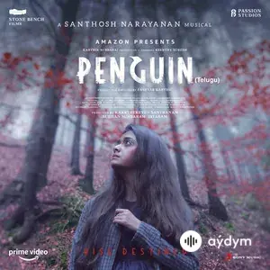 Penguin (Telugu) [Original Motion Picture Soundtrack]