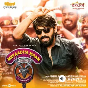 Meyaadha Maan (Original Motion Picture Soundtrack)
