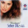 Seher Dilovan - Yalan oldum