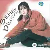 Seher Dilovan - Vur Ellere