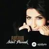 Sibel Pamuk - Gitme Yaralı Yüreğim