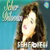 Seher Dilovan - Seher Yeli