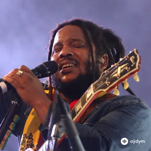 Stephen Marley