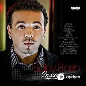 Unsung The Album