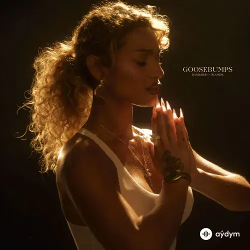 DaniLeigh -Ola  - Goosebumps