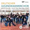 Matthew Peterson-Gustaf Sjökvists Kammarkör-Leon Tscholl-Florian Benfer - Högalidsmässan – The Sanctuary Mass: V. Agnus Dei