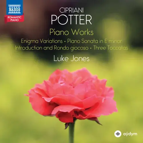 Cipriani Potter-Luke Jones - Piano Sonata in E Minor, Op. 4: II. Andante con moto