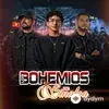 Los Bohemios de Sinaloa-Los Rieleros Del Norte - Voy A Llorar Por Ti