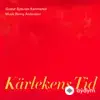 Matthew Peterson-Gustaf Sjökvists Kammarkör-Leon Tscholl-Florian Benfer - Högalidsmässan – The Sanctuary Mass: V. Agnus Dei