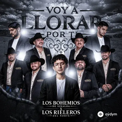 Los Bohemios de Sinaloa-Los Rieleros Del Norte - Voy A Llorar Por Ti